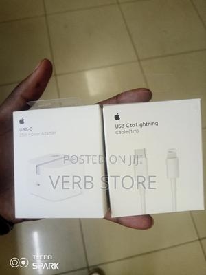 25W iPhone Charger Adapter and Cable - main view