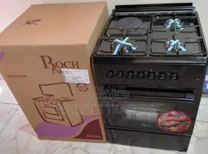 Roch Standing Cooker 60 by 60