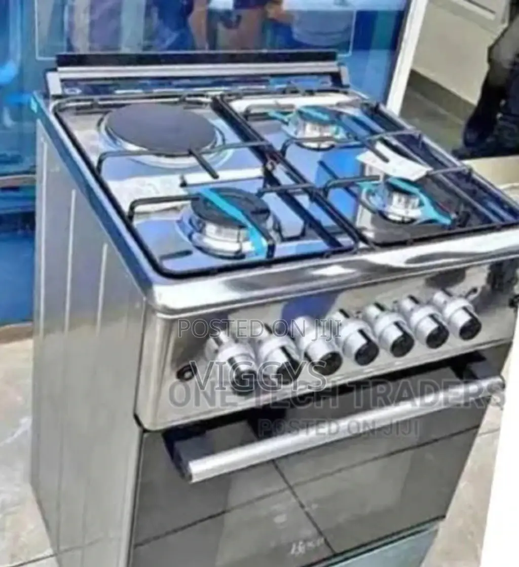 Standing Cooker Roch 60 by 60