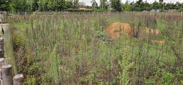 1⁄4 Plot for Sale in Kaptuli Chembulet Dispensary Eldoret - thumbnail 2