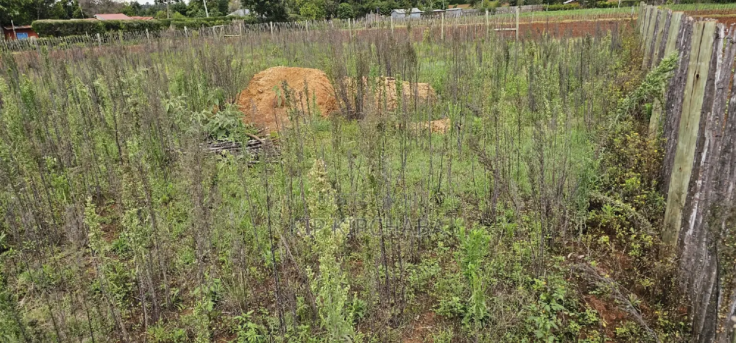 1⁄4 Plot for Sale in Kaptuli Chembulet Dispensary Eldoret