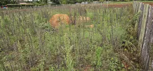 1⁄4 Plot for Sale in Kaptuli Chembulet Dispensary Eldoret