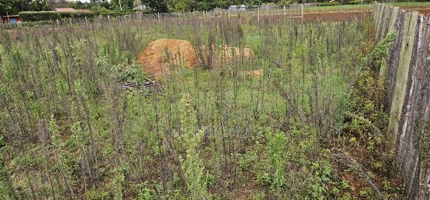 1⁄4 Plot for Sale in Kaptuli Chembulet Dispensary Eldoret - thumbnail 3