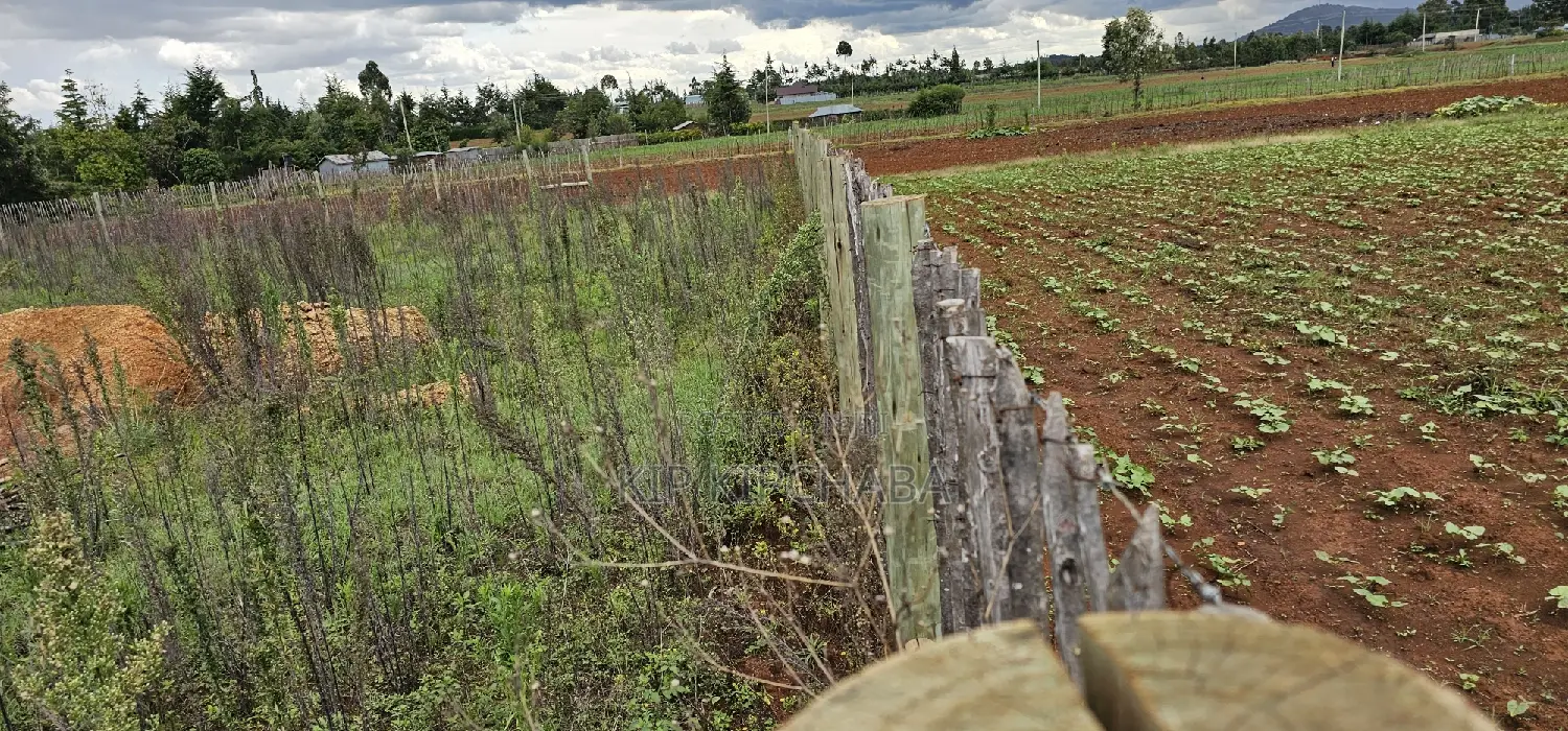 1⁄4 Plot for Sale in Kaptuli Chembulet Dispensary Eldoret