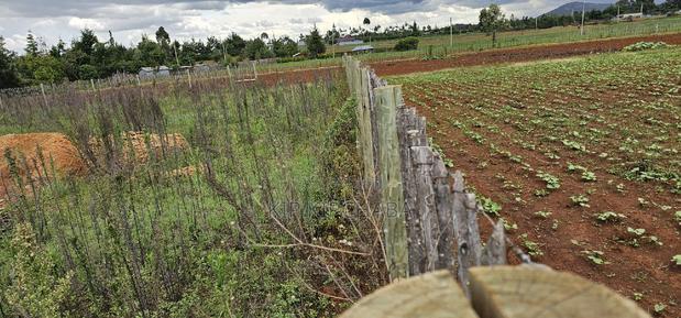 1⁄4 Plot for Sale in Kaptuli Chembulet Dispensary Eldoret - thumbnail 5