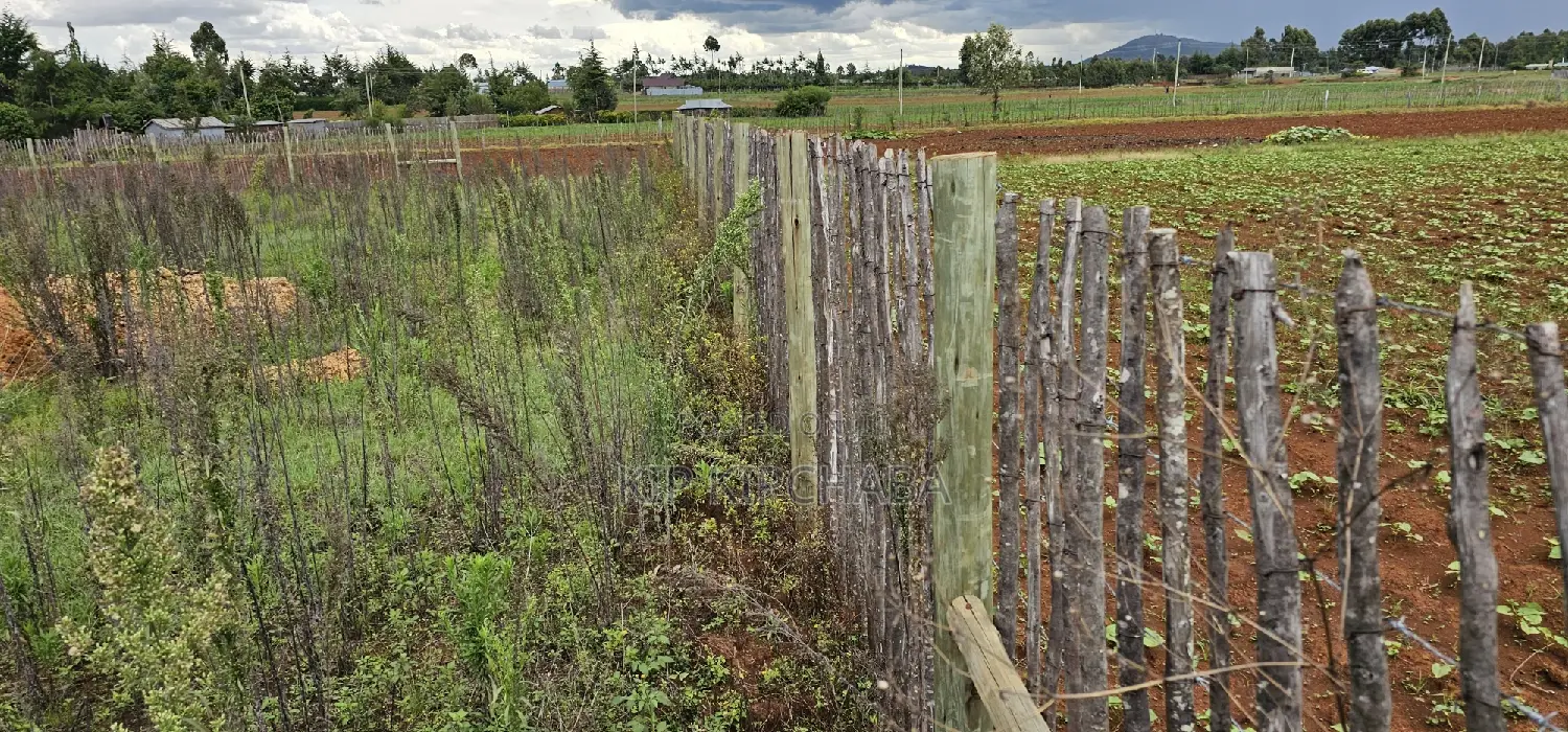 1⁄4 Plot for Sale in Kaptuli Chembulet Dispensary Eldoret