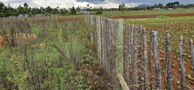 1⁄4 Plot for Sale in Kaptuli Chembulet Dispensary Eldoret - thumbnail 6