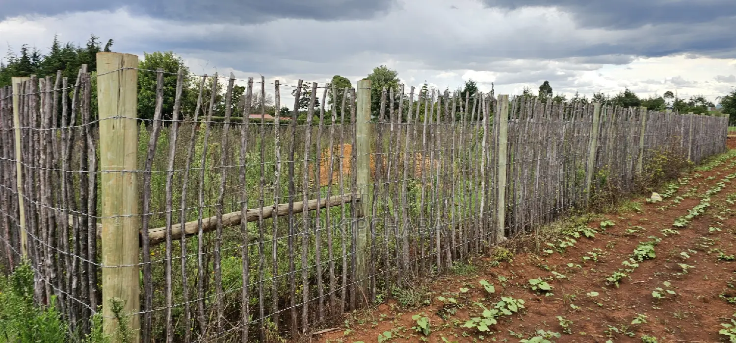 1⁄4 Plot for Sale in Kaptuli Chembulet Dispensary Eldoret