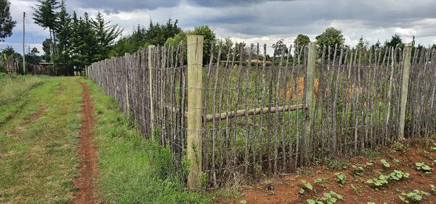 1⁄4 Plot for Sale in Kaptuli Chembulet Dispensary Eldoret - thumbnail 8