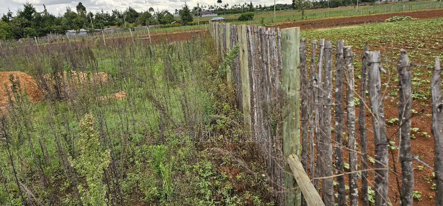1⁄4 Plot for Sale in Kaptuli Chembulet Dispensary Eldoret
