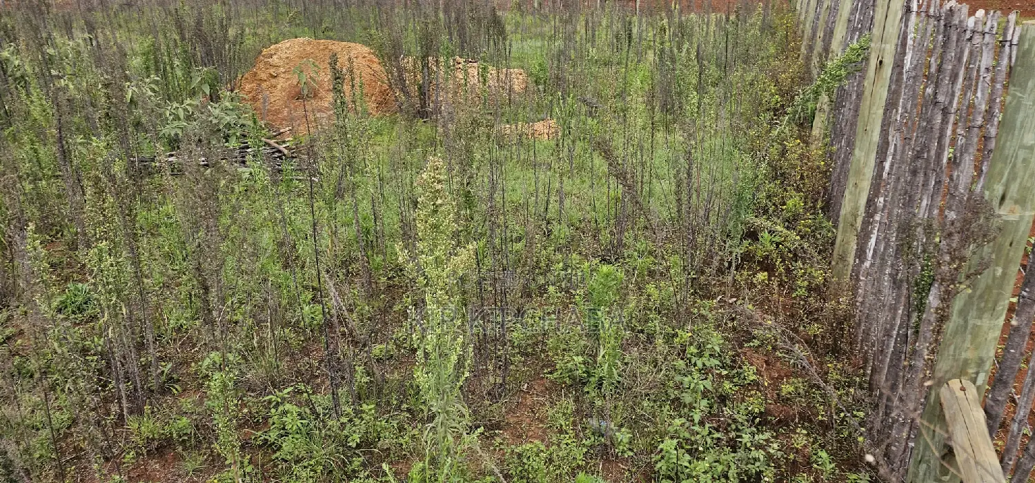 1⁄4 Plot for Sale in Kaptuli Chembulet Dispensary Eldoret