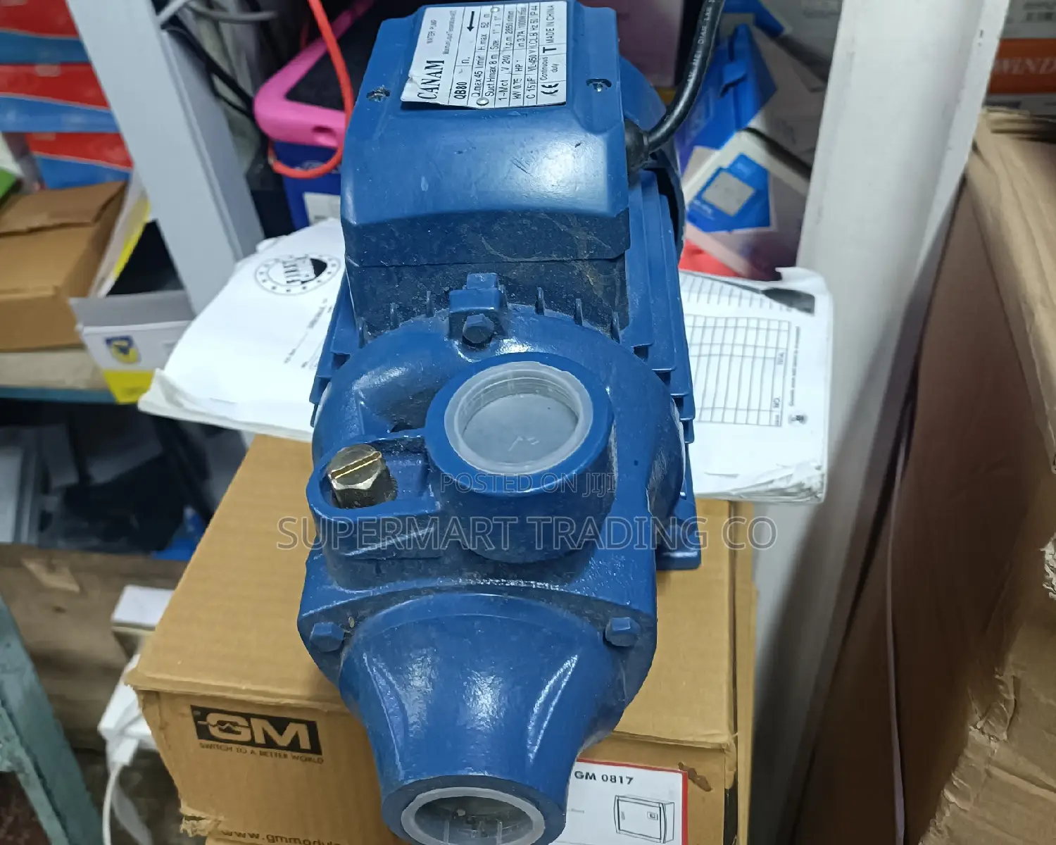 Canam Water Pump
