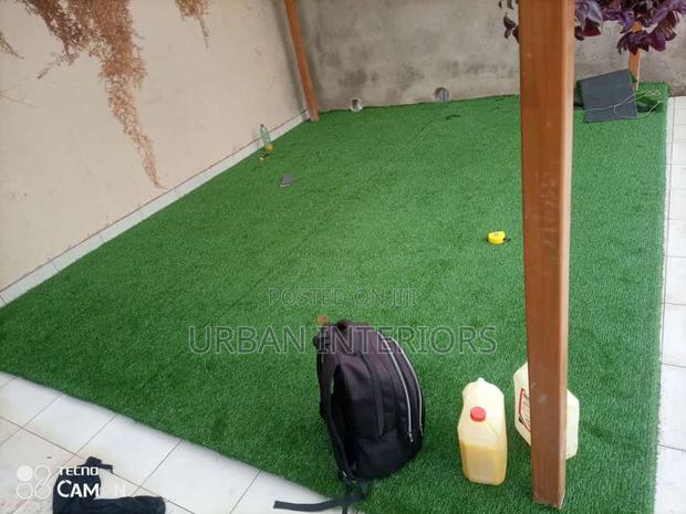 Grass Carpet Grass Carpet Grass Carpet Grass Carpet - main view