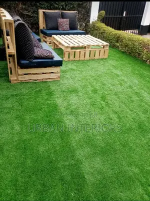 Grasss Carpet Grass Carpet Grass Carpet Grass Carpet