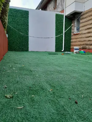 Grass Carpet Grass Carpet Grass Carpet Grass Carpet