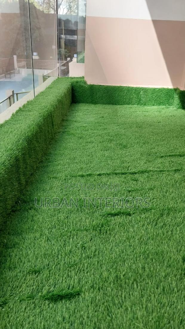 Grass Carpet Grass Carpet Grass Carpet Grass Carpet - main view