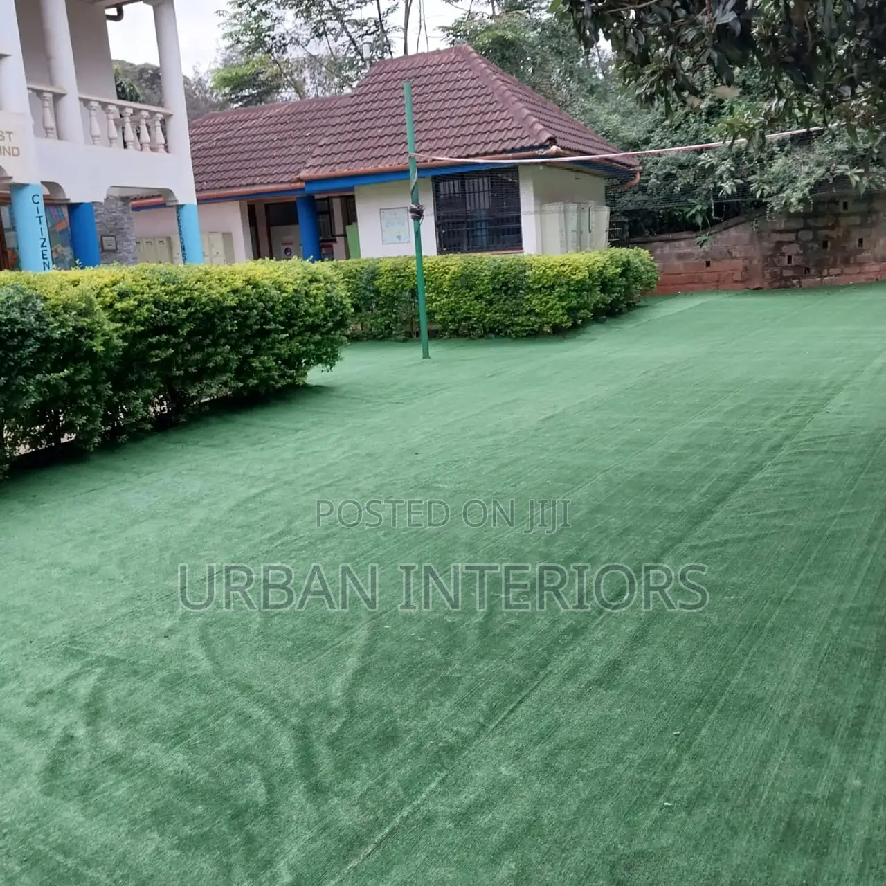 Grass Carpet Grass Carpet Grass Carpet Grass Carpet