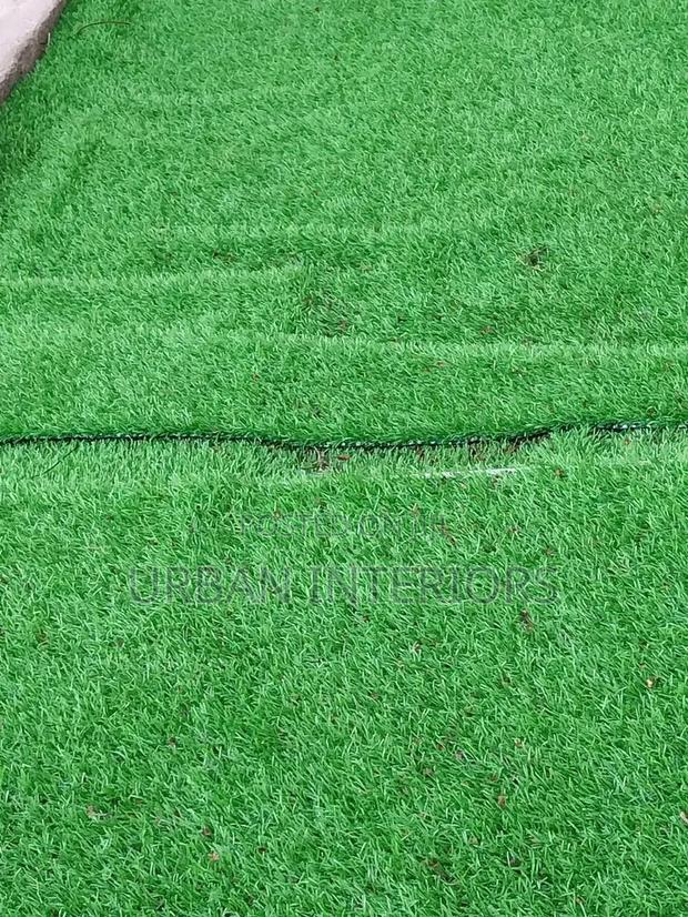 Grass Carpet Grass Carpet Grass Carpet Grass Carpet - main view