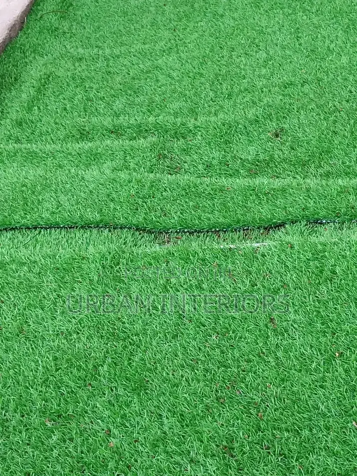 Grass Carpet Grass Carpet Grass Carpet Grass Carpet