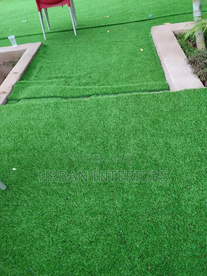 Grass Carpet Grass Carpet Grass Carpet Grass Carpet