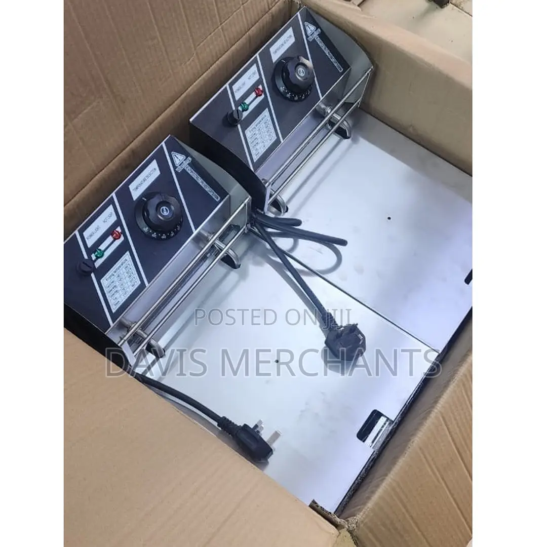 New Commercial Chips Fryer
