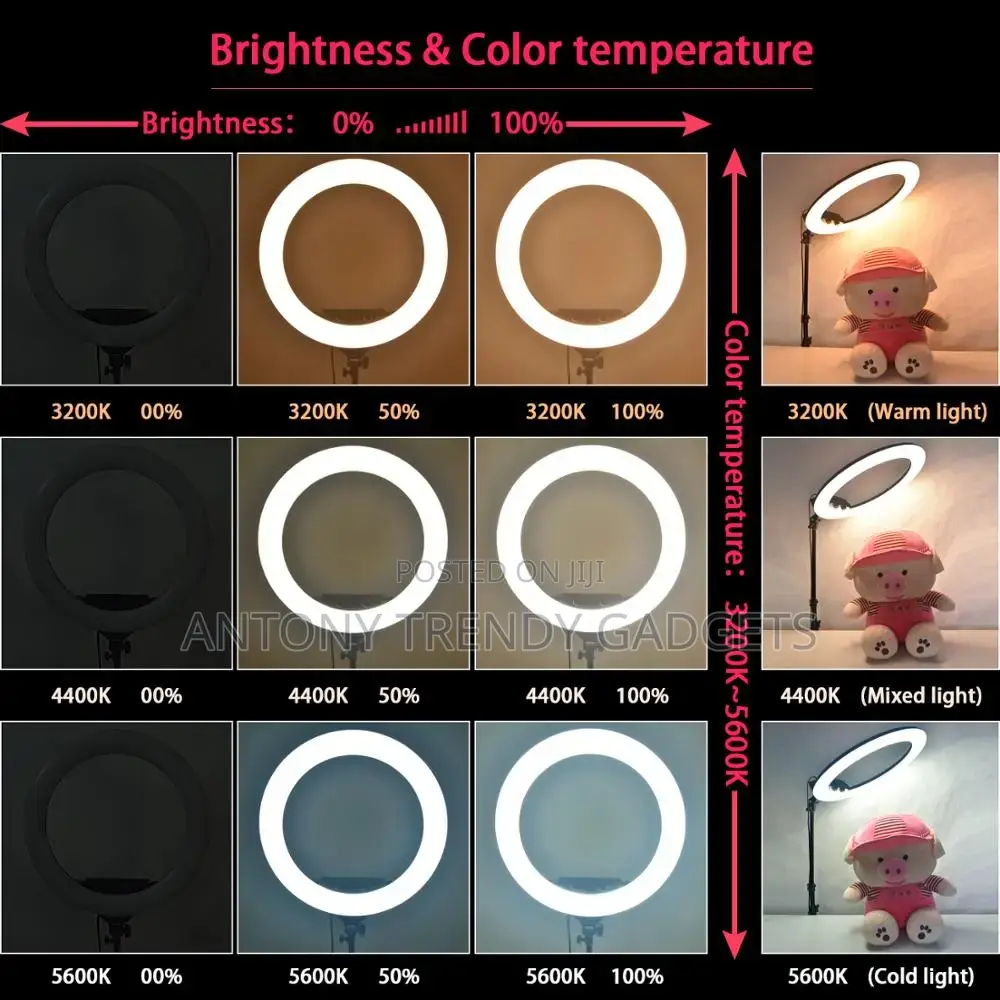 RL LED 18 Inch Ring Light Kit 55W Variable Color Temperatur