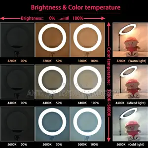 RL LED 18 Inch Ring Light Kit 55W Variable Color Temperatur
