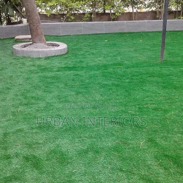Grass Carpet Grass Carpet Grass Carpet Grass Carpet - main view