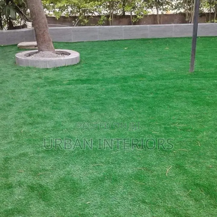 Grass Carpet Grass Carpet Grass Carpet Grass Carpet