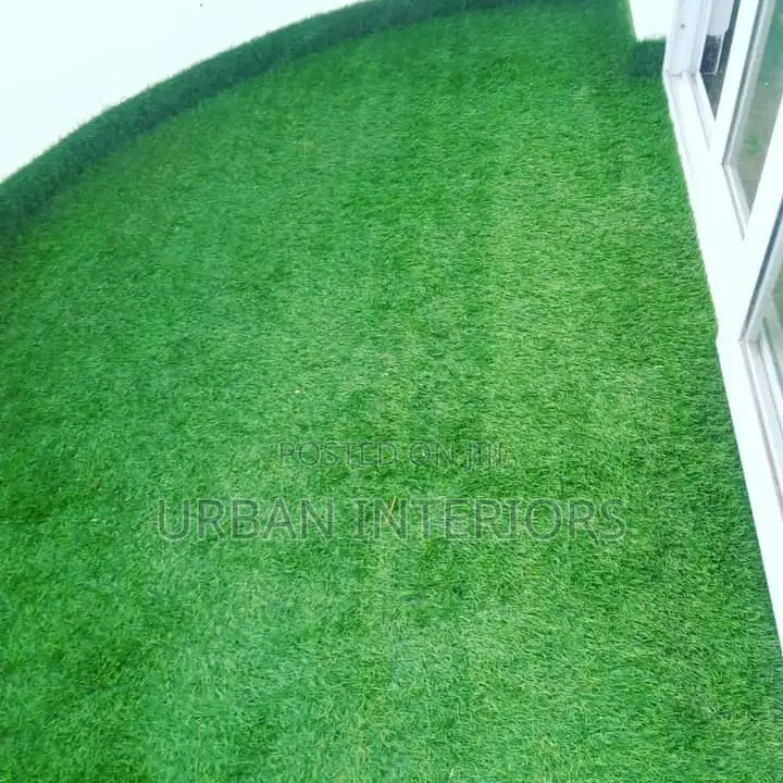Grass Carpet Grass Carpet Grass Carpet Grass Carpet