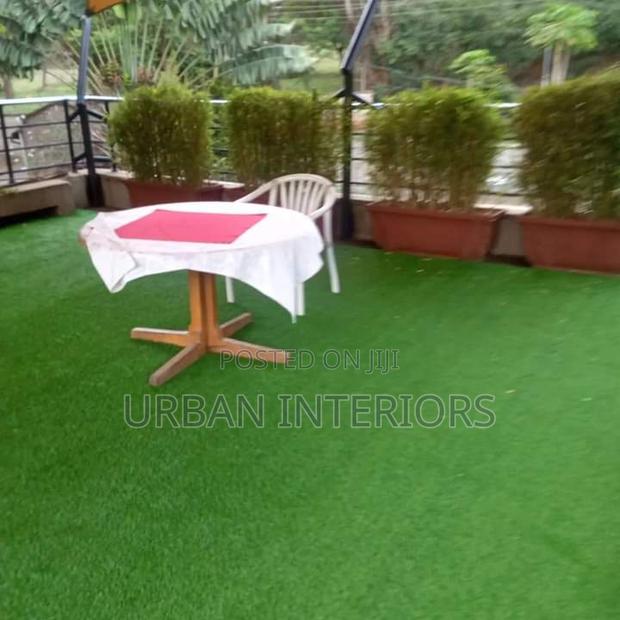 Grass Carpet Grass Carpet Grass Carpet Grass Carpet