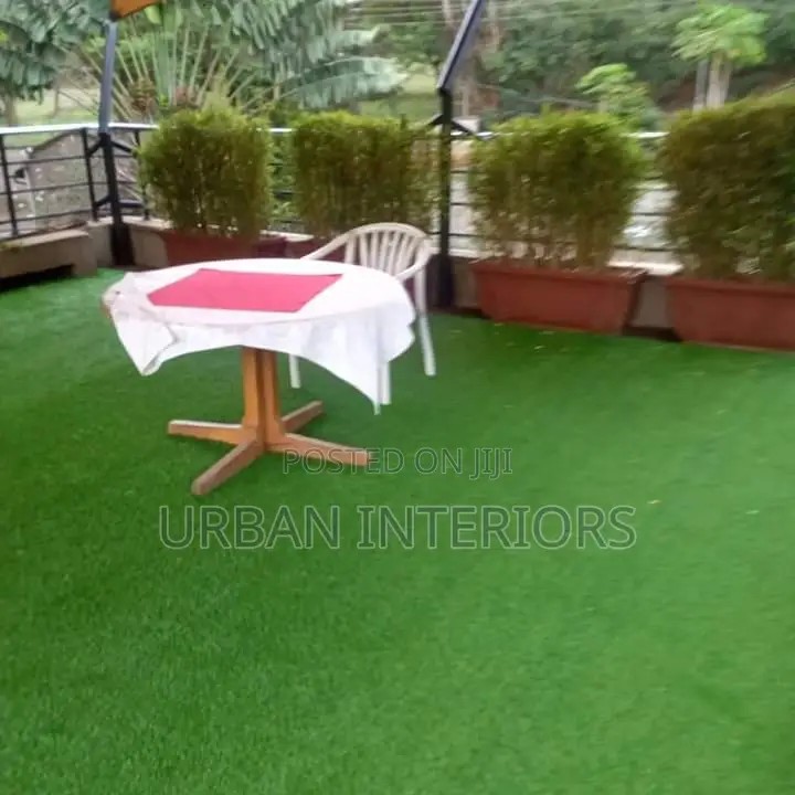 Grass Carpet Grass Carpet Grass Carpet Grass Carpet