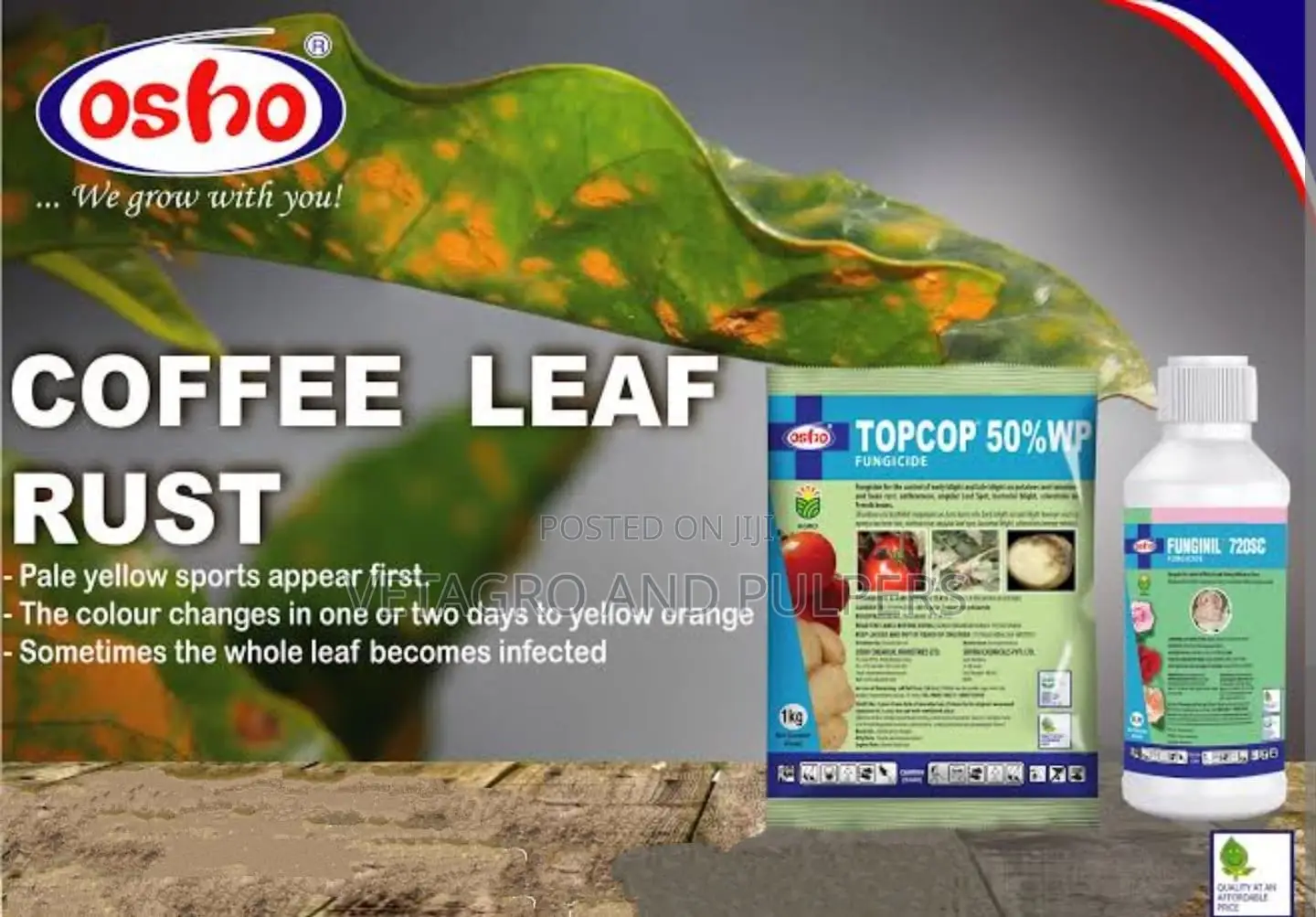 Topcop 50wp Fungicide