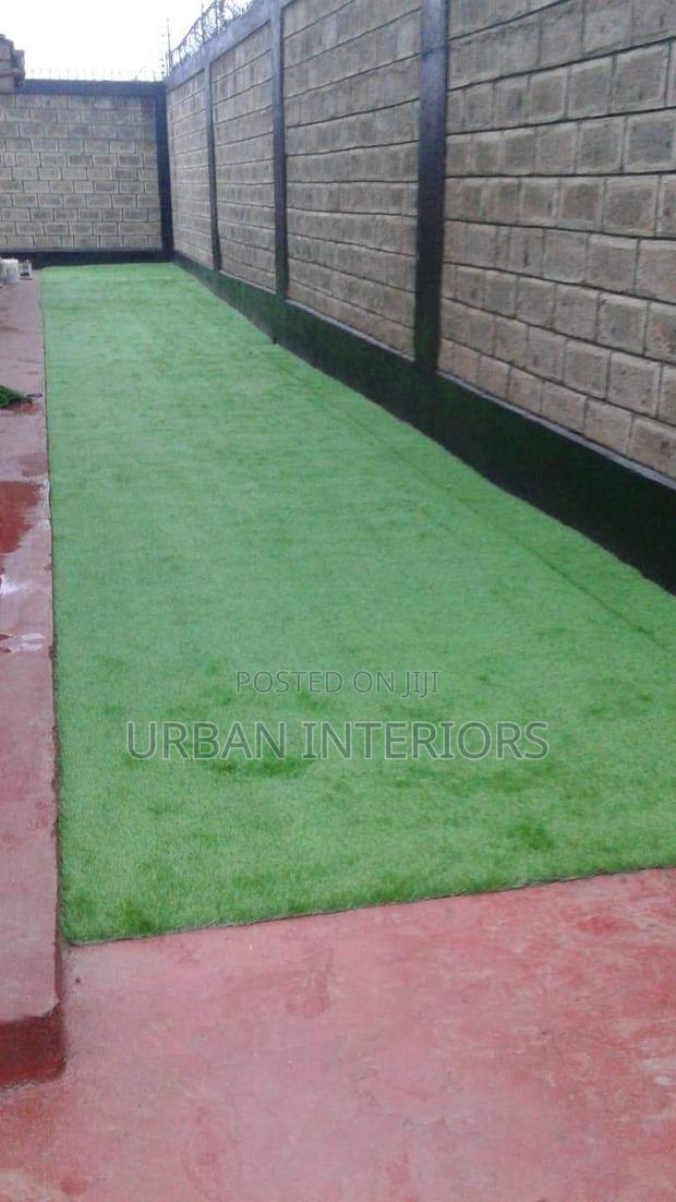 Grass Carpet Grass Carpet Grass Carpet Grass Carpet