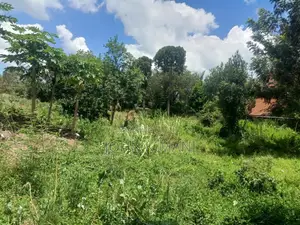 50 by 100 Plot at Utawala Astrol Area