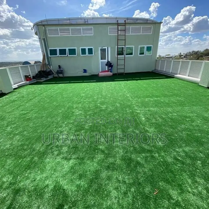 Artificial Grass Carpet Artificial Grass Carpet