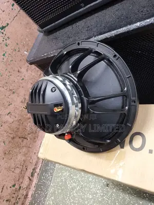 Coaxial Speakers (Neodymium Tweeter Speaker) 12 Inches
