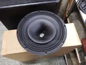 Coaxial Speakers (Neodymium Tweeter Speaker) 12 Inches