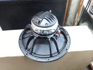 Neodymium Coaxial 12 Inch Tweeter Speaker