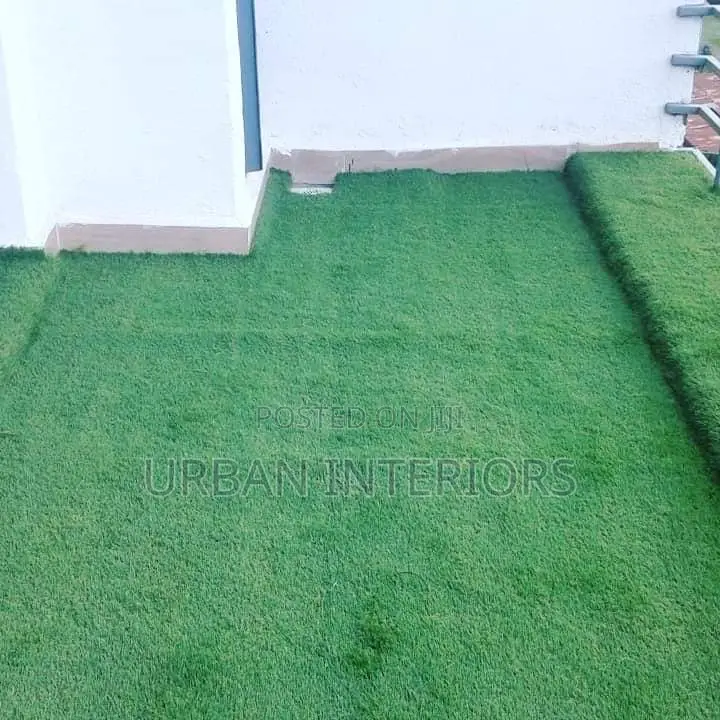 Grass Carpet Grass Carpet Grass Carpet Grass Carpet