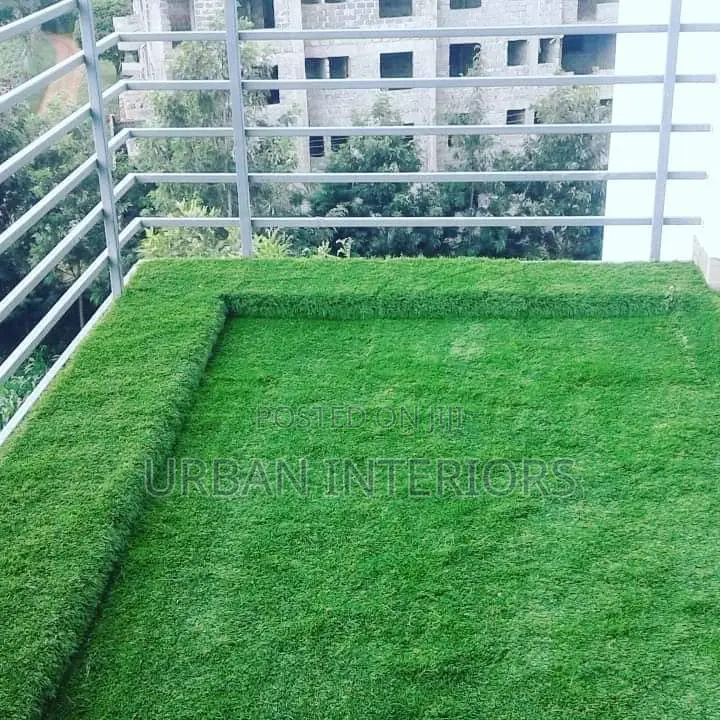 Grass Carpet Grass Carpet Grass Carpet Grass Carpet