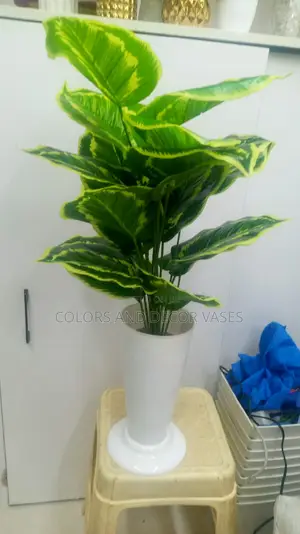 Vase Plant and Pebble Stones