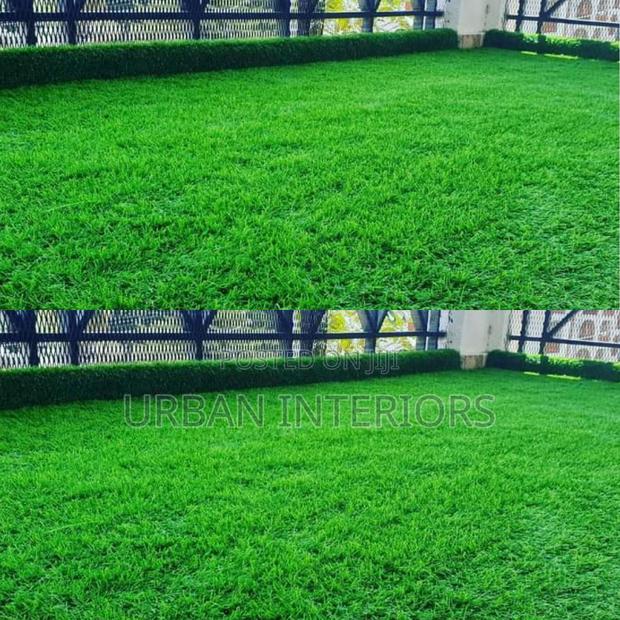 Grass Carpet Grass Carpet Grass Carpet Grass Carpet - main view