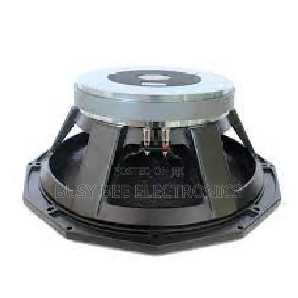 Pd 1850 Deep Bass Naked Speaker - main view