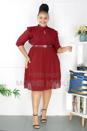 Stylish Skater Dress
