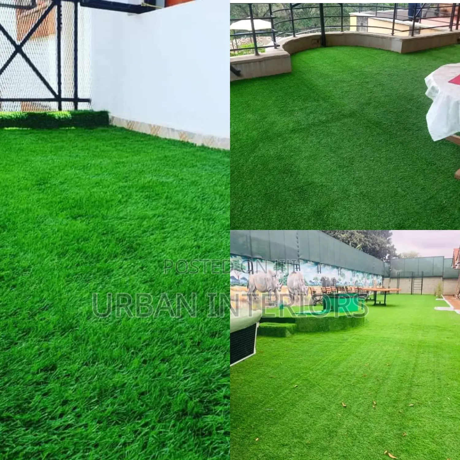 Grass Carpet Grass Carpet Grass Carpet Grass Carpet