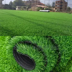 Grass Carpet Grass Carpet Grass Carpet Grass Carpet