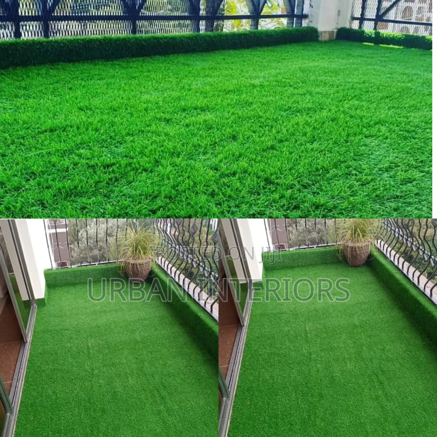 Grass Carpet Grass Carpet Grass Carpet Grass Carpet