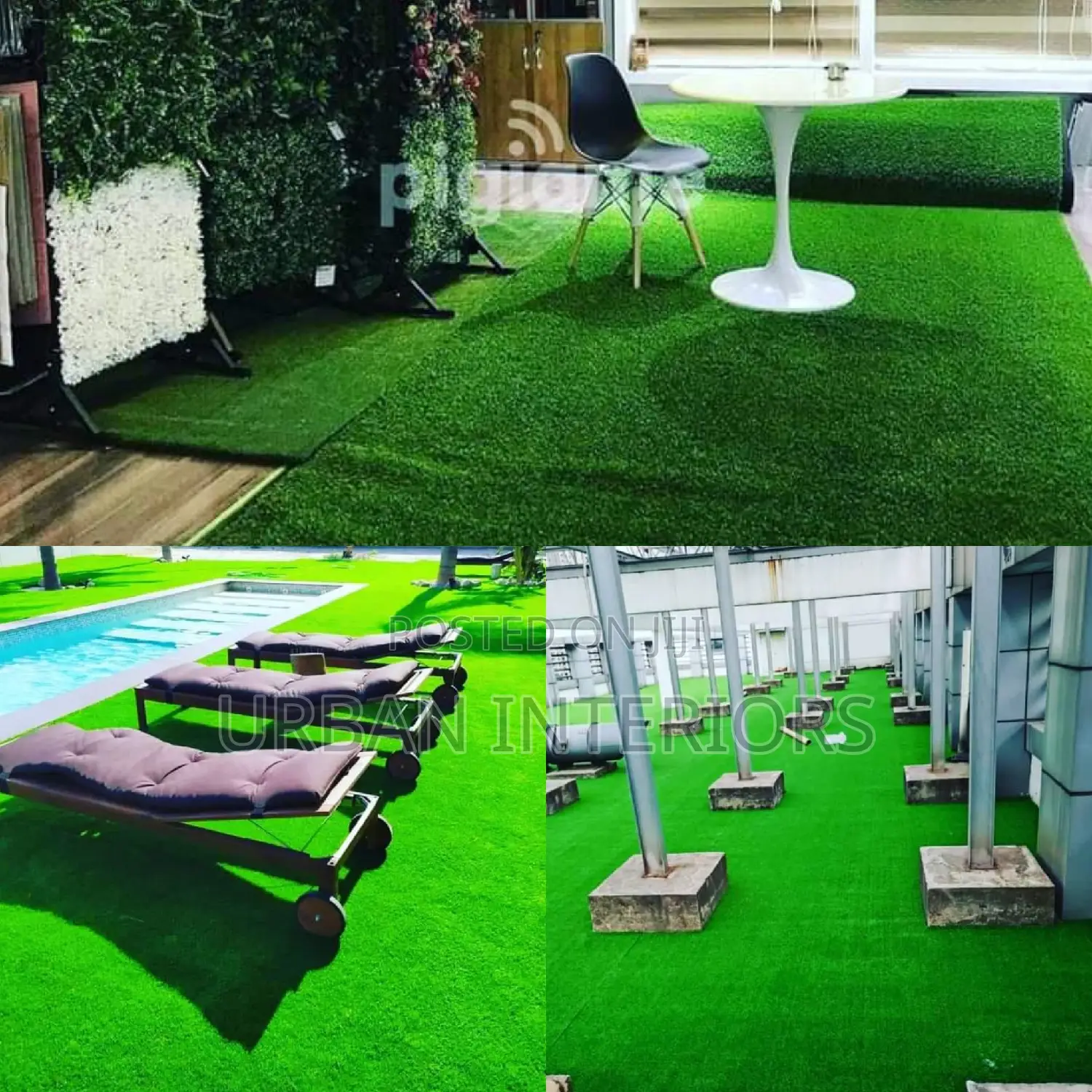 Grass Carpet Grass Carpet Grass Carpet Grass Carpet