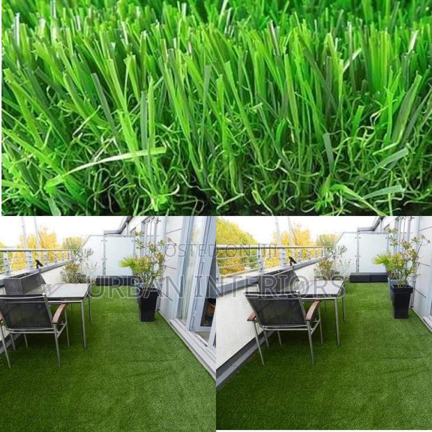 Grass Carpet Grass Carpet Grass Carpet Grass Carpet - main view